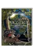 Od pocz�tku, czyli powstanie i rozw�j �ycia na Ziemi