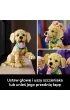 LEGO Icons Szczeniak golden retriever 11384