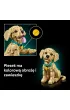 LEGO Icons Szczeniak golden retriever 11384