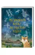 Przewodnik kotki po nocnym niebie