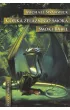 Córka żelaznego smoka. Smoki Babel – Michael Swanwick – okładka ebook