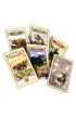Great Western Trail: Argentyna