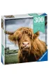 Puzzle 300 el. Moment. Szkocka krowa Ravensburger