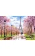 Puzzle 1000 el. Romantyczny spacer w Pary�u Castorland