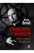 Urodzony z ogonem. Diabelskie życie i niegodziwe czasy Antona Szandora LaVeya, założyciela Kościoła Szatana – Doug Brod – okładka ebook