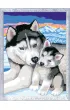 Malowanie po numerach CreArt - Husky Ravensburger