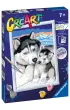 Malowanie po numerach CreArt - Husky Ravensburger