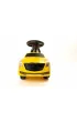 Odpychacz ��ty �wiat�o i d�wi�k Sabi Toys