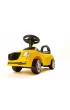 Odpychacz ��ty �wiat�o i d�wi�k Sabi Toys