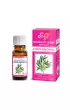 Etja-olejki Naturalny Olejek Eteryczny z Drzewa Herbacianego 10 ml