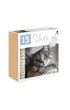 Puzzle 12 el. Kot Silver Alexander