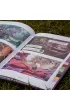 Komiksy paragrafowe Kotki i smoki. Przebudzenie wulkanu. Komiks paragrafowy