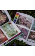 Komiksy paragrafowe Kotki i smoki. Przebudzenie wulkanu. Komiks paragrafowy