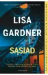 Sąsiad. Detektyw D.D. Warren. Tom 3 – Lisa Gardner – okładka ebook