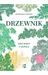Drzewnik. Leśna terapia w praktyce – Agnieszka  Antosik – okładka ebook