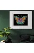 Diamond Dotz Haft diamentowy - Adults Flocked Neon Butterfly 35.5x45.7cm