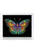 Diamond Dotz Haft diamentowy - Adults Flocked Neon Butterfly 35.5x45.7cm
