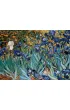 Puzzle 1000 el. Irysy Vincent van Gogh Eurographics
