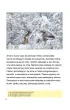 M�j rok Podr�cznik dla uczni�w z niepe�nosprawno�ci� intelektualn�