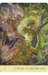 Wyrocznia Szepty Natury - Nature's Whispers Oracle
