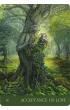 Wyrocznia Szepty Natury - Nature's Whispers Oracle