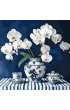 Ideyka Malowanie po numerach - Orchidea w porcelanie 40x40cm