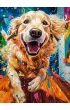 Puzzle 200 el. Euphoric Spectrum Castorland