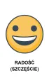 Znajd� takie same emocje �wiczenia w rozpoznawaniu i nazywaniu stan�w emocjonalnych