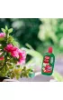 Substral Naw�z + humus Burza Kwiat�w 1 l