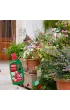 Substral Naw�z + humus Burza Kwiat�w 1 l