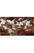 Gamers Grass: Laliguras Flowers