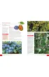 Atlas drzew i krzew�w