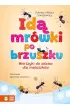 Id� mr�wki po brzuszku. Wierszyki do zabaw dla maluszk�w