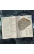 Zew Cthulhu. Arkham