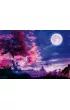 Puzzle 1000 el. PQ Cameron Gray Bajkowy Widok Schmidt