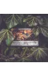 Dominion. Zdobycze IUVI Games
