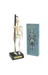 Anatomiczny model szkieletu Rex London