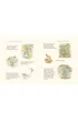 Piotru� Kr�lik i jego �wiat. Wszystkie opowiastki Beatrix Potter
