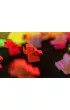 Root: Paczka Zaci�nych Maruder�w Portal Games