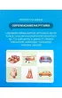 Karty artykulacyjne Sycz�ce