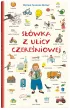 Swka z ulicy Czereniowej