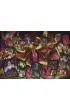 Puzzle 1500 el. Compact Disney Vilains Clementoni