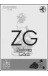 Zielona G�ra - plakat premium 30x40 cm