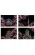 Twoje Hobby Cherry Blossom. Magiczna zdrapka - wydrapywanka 21.0 x 29.5 cm