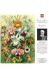 Puzzle 1000 el. Ernst Haeckel Orchidea / Orchid Good Loot