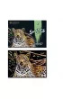 Twoje Hobby Leopard. Magiczna zdrapka - wydrapywanka 40.0 x 28.5 cm