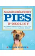 Najszcz�liwszy pies w okolicy
