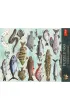 Puzzle 500 Finders Keepers: Ryby TREFL