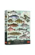 Puzzle 500 Finders Keepers: Ryby TREFL
