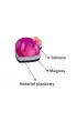 Puzzle Gra magnetyczna - Lody Roter Kafer